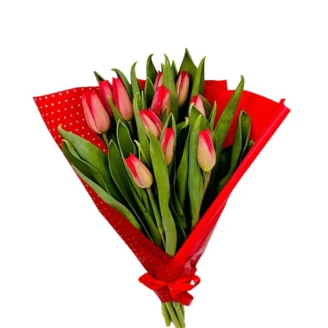 Haaga - 11 tulipanów - mały bukiet